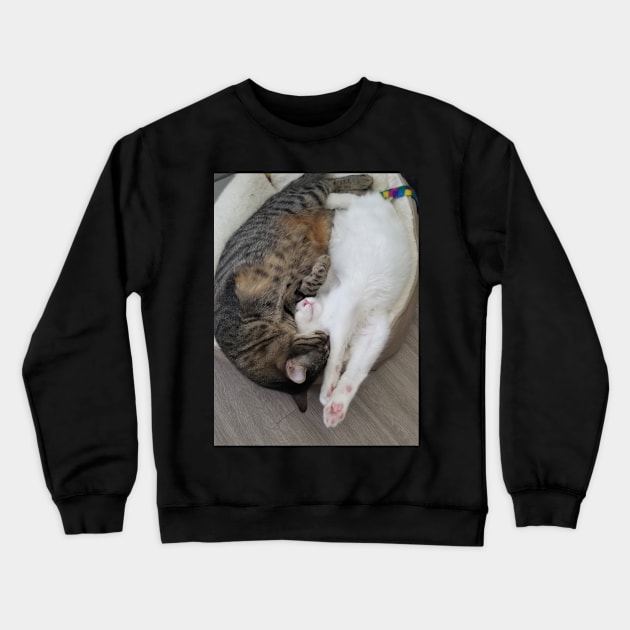 Real cat ying yang Crewneck Sweatshirt by Psychodelic Finger lakes